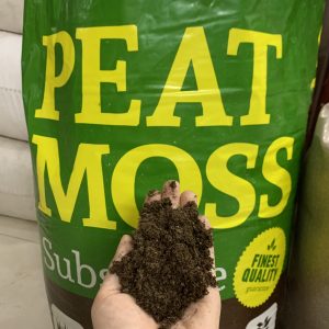 Peat moss nhập khẩu