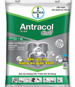 antracol