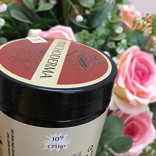 Chế phẩm Trichoderma 10^9 CFU - Hũ 160gr - Ảnh 2