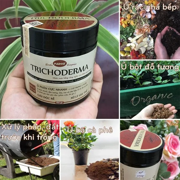 Chế phẩm Trichoderma 10^9 CFU - Hũ 160gr - Ảnh 3