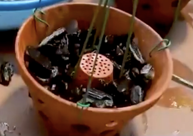 Cốc điều hòa làm mát chậu cây Φ10cm x 9cm - Ảnh 5