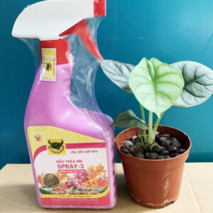 Phân dạng xịt, pha sẵn – Đầu Trâu Spray 3 (Dưỡng hoa lâu tàn) – Chai 500ml