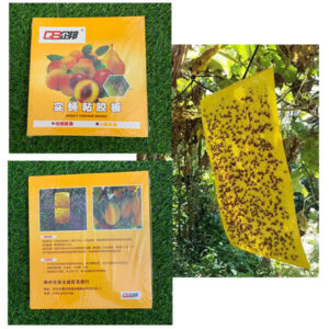 Set 5 bẫy dính ruồi vàng cho hoa lan, cây ăn quả (mướp, dưa chuột, dưa lưới, bầu bí…)