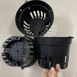 Set 5 chậu nhựa đen trồng lan Φ18 cm