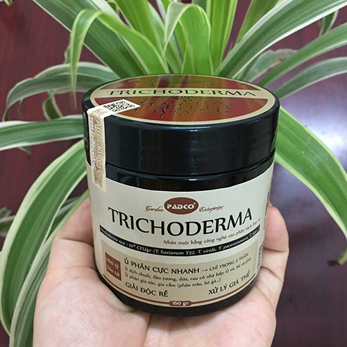 Set vật tư trồng sen đá, xương rồng cho người mới bắt đầu (dùng cho 30 chậu) - Ảnh 3