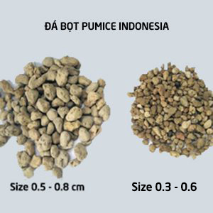 Set vật tư trồng sen đá, xương rồng cho người mới bắt đầu (dùng cho 30 chậu) - Ảnh 6