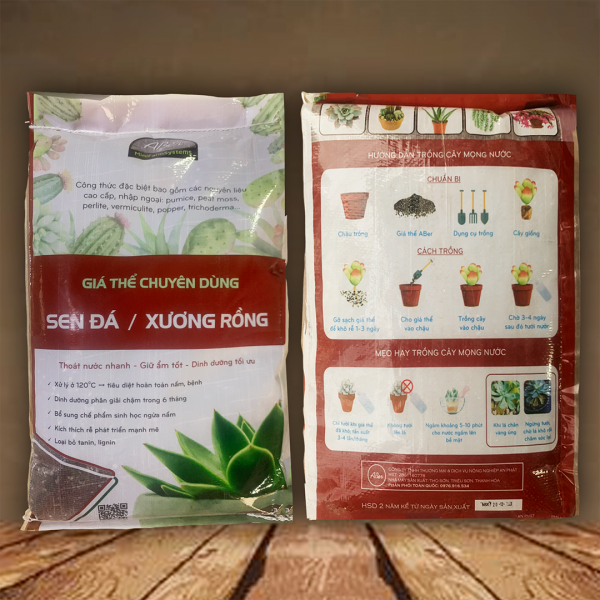 Set vật tư trồng sen đá, xương rồng cho người mới bắt đầu (dùng cho 30 chậu) - Ảnh 2
