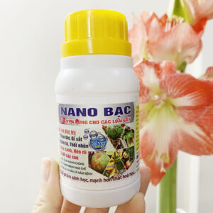 Nano Bạc đặc trị thán thư, gỉ sắt, đốm lá, thối nhũn… – Lọ 100ml