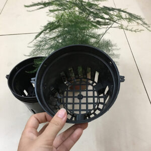 Set 5 chậu nhựa đen trồng lan Φ14 cm