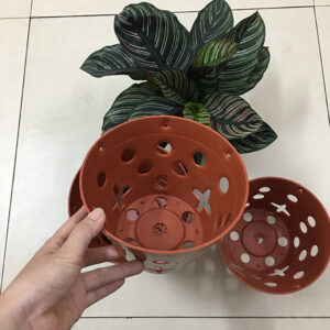 Set 5 chậu nhựa giả gốm trồng lan Φ17 cm