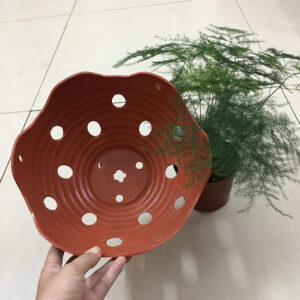 Set 5 chậu nhựa giả gốm lượn sóng trồng lan Φ20 cm