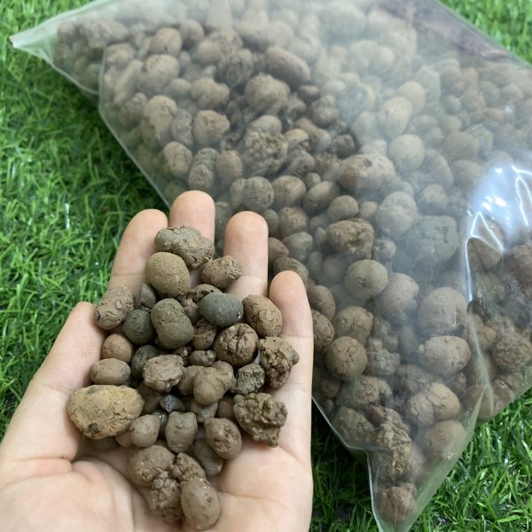 Set vật tư trồng sen đá, xương rồng cho người mới bắt đầu (dùng cho 30 chậu) - Ảnh 5